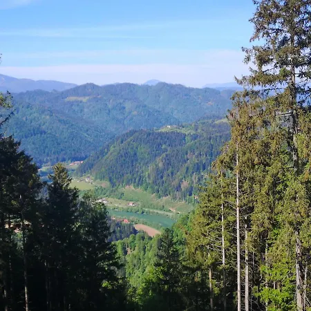 Apartman Apartmaji Pri Dravi *