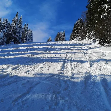 דירה Apartmaji Pri Dravi Podvelka