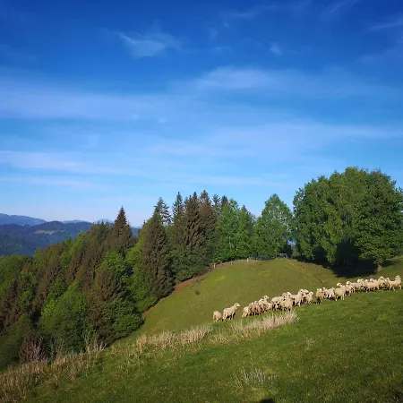 Apartman Apartmaji Pri Dravi *