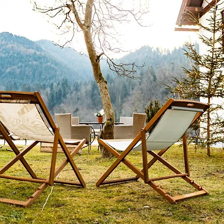 Apartmaji Pri Dravi *