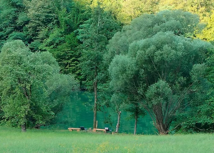 Apartmaji Pri Dravi شقة