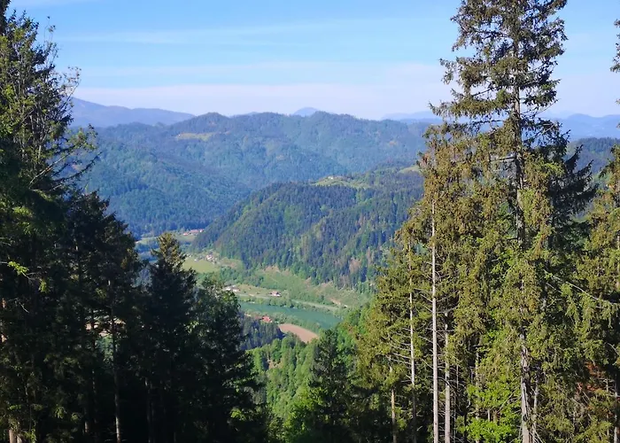 Апартаменты Apartmaji Pri Dravi *