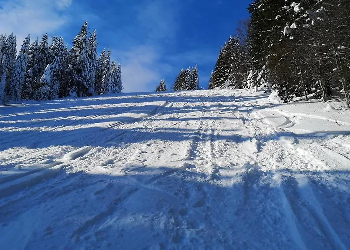 شقة Apartmaji Pri Dravi Podvelka