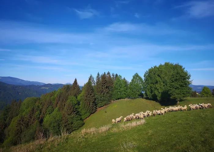 شقة Apartmaji Pri Dravi *