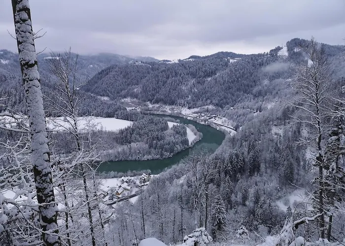 شقة Apartmaji Pri Dravi