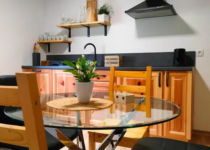 Apartmaji Pri Dravi شقة *